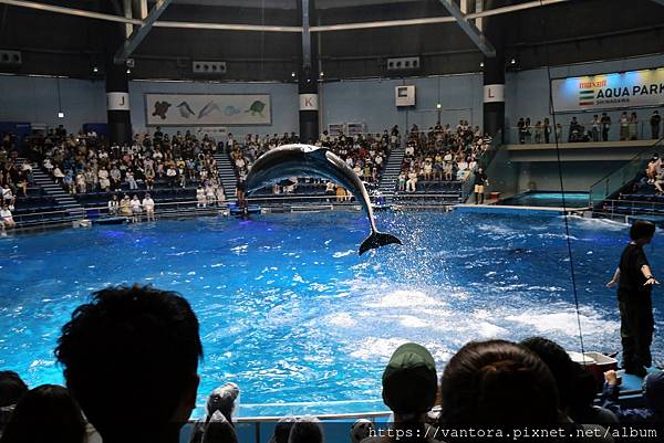 <東京水族館> 宛若聲光秀場的都會型水族館：品川水族館（Ma