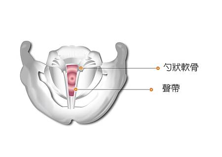 圖34 拷貝