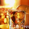 Tequila 龍舌蘭