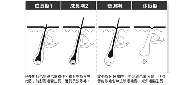 黃詠勝醫師(POR-U)2.jpg