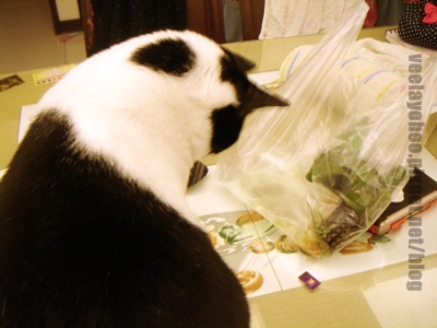 DSC07128.JPG DSC07128.JPG