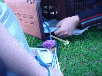 9anigif.gif 9anigif.gif