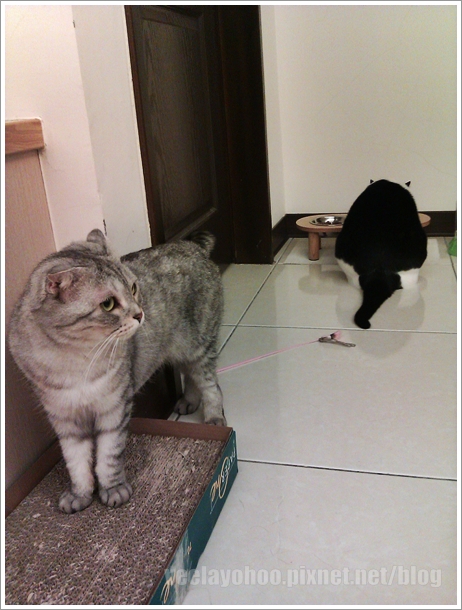 IMAG0167.jpg IMAG0167.jpg