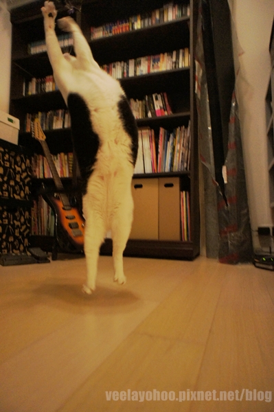 DSC06428.JPG DSC06428.JPG