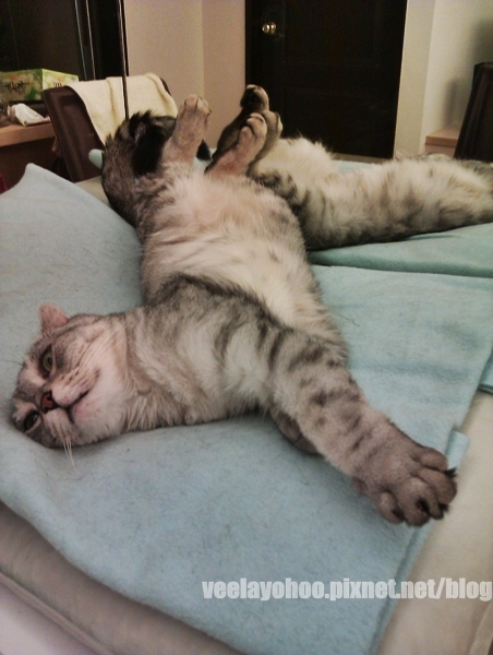 IMAG0103.jpg IMAG0103.jpg
