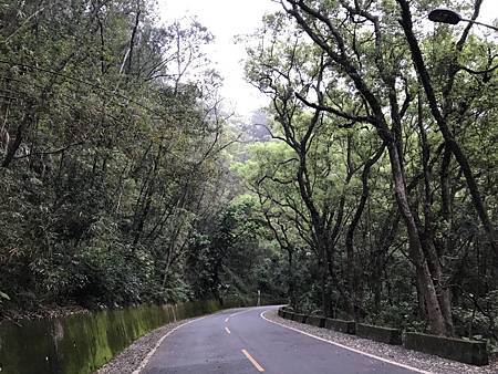 虎頭山步道_04.jpg