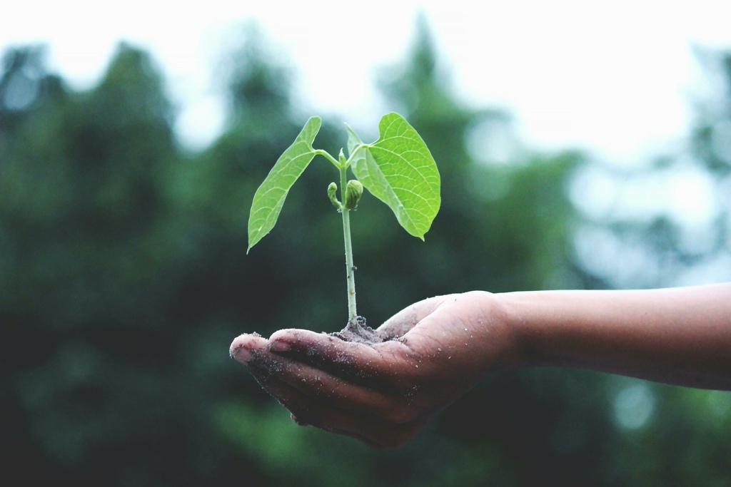 植物肉是什麼？ 8大優勢＋推薦產品全整理！健康、環保與風味兼