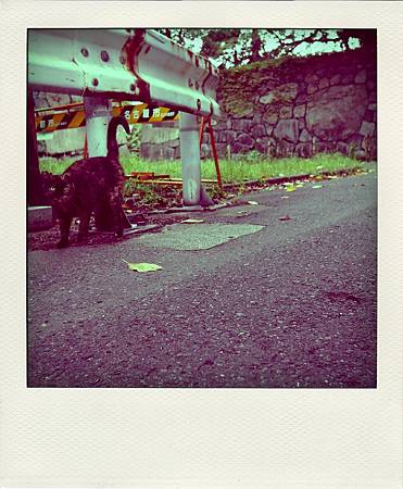 DSC02639-pola.jpg DSC02639-pola.jpg