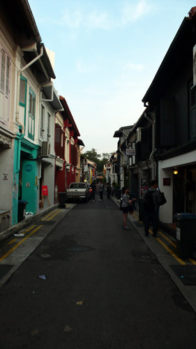 P1040755.jpg