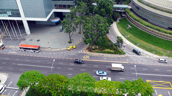 P1040645.jpg