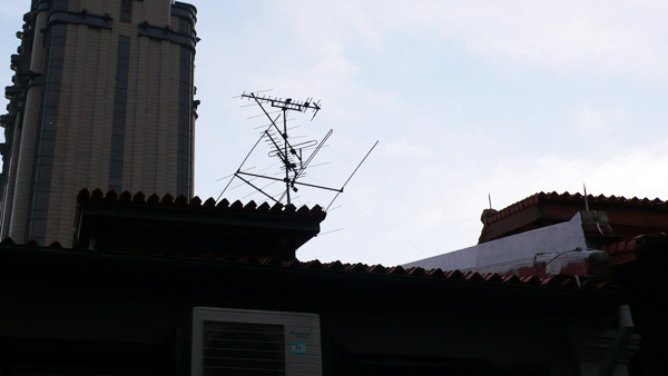 P1040771.jpg