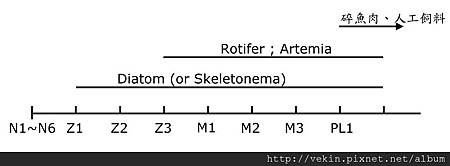 fig01-06.jpg