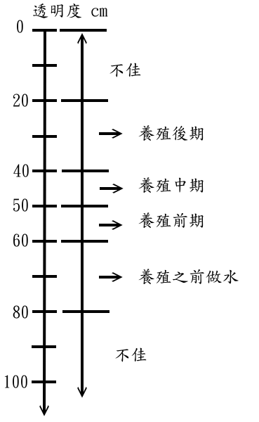 透明度.gif