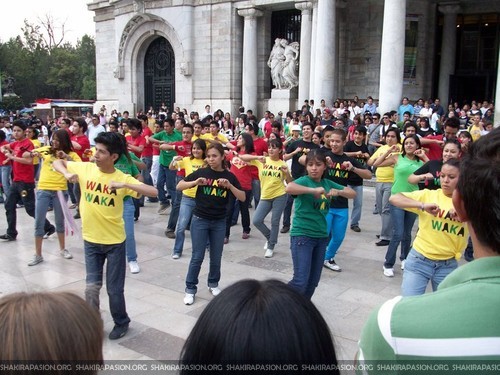 waka waka crazy fan 01 waka waka crazy fan 01