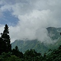 溪頭風景