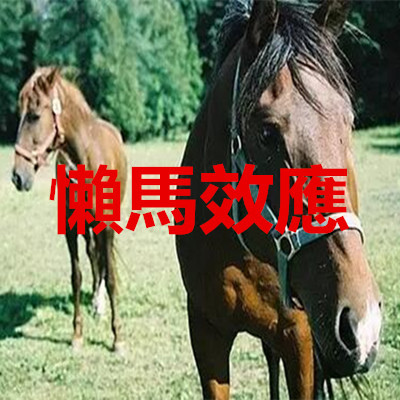 懶馬效應