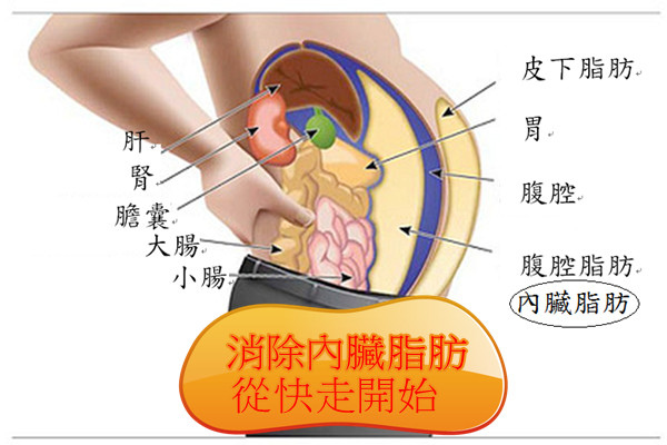 消除內臟脂肪，從快走開始