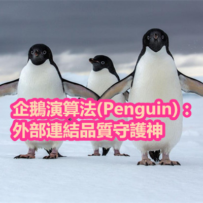 企鵝演算法(Penguin)：外部連結品質守護神