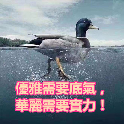 優雅需要底氣,華麗需要實力!.jpg 優雅需要底氣,華麗需要實力!.jpg