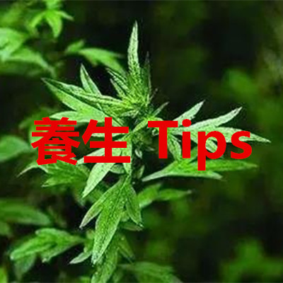 養生 Tips.jpg 養生 Tips.jpg