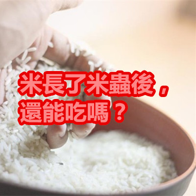 米長了米蟲後，還能吃嗎？.jpg