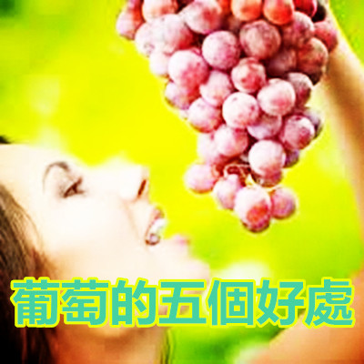 葡萄的五個好處.jpg 葡萄的五個好處.jpg