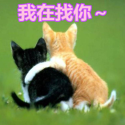 我在找你~.jpg 我在找你~.jpg