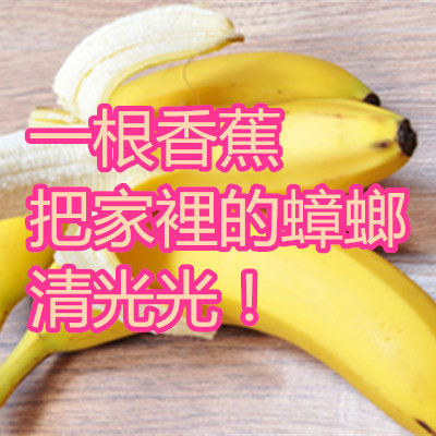 一根香蕉把家裡的蟑螂清光光!.jpg 一根香蕉把家裡的蟑螂清光光!.jpg