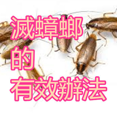 滅蟑螂的有效辦法.jpg