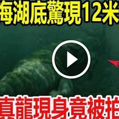 青海湖底發現12米真龍,真龍現身竟被拍下,專家調查結果.png 青海湖底發現12米真龍,真龍現身竟被拍下,專家調查結果.png