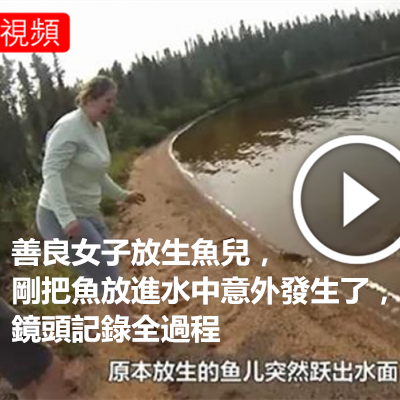 善良女子放生魚兒,剛把魚放進水中意外發生了,鏡頭記錄全過程.png 善良女子放生魚兒,剛把魚放進水中意外發生了,鏡頭記錄全過程.png