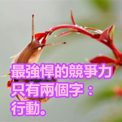 最強悍的競爭力只有兩個字:行動。.jpg 最強悍的競爭力只有兩個字:行動。.jpg