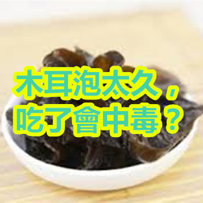 木耳泡太久,吃了會中毒?.jpg 木耳泡太久,吃了會中毒?.jpg