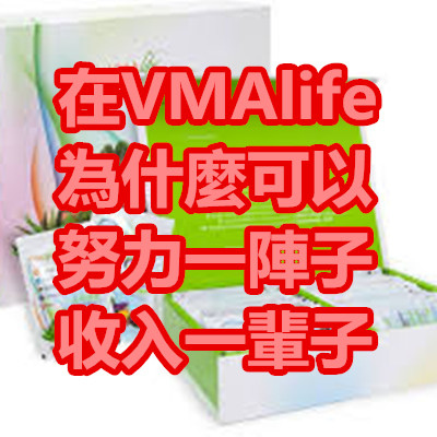 在VMAlife為什麼可以努力一陣子 收入一輩子.jpg 在VMAlife為什麼可以努力一陣子 收入一輩子.jpg