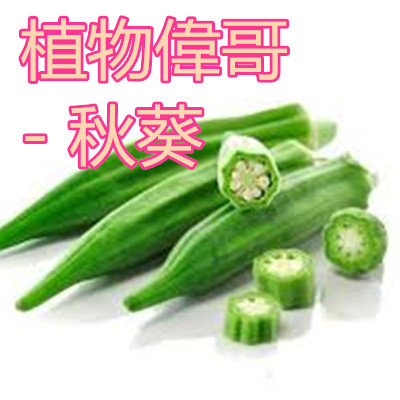 植物偉哥 - 秋葵.jpg 植物偉哥 - 秋葵.jpg