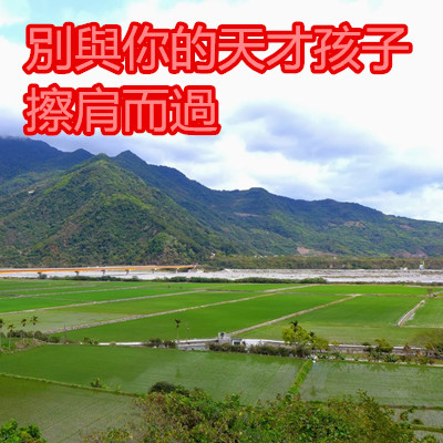 別與你的天才孩子擦肩而過.jpg 別與你的天才孩子擦肩而過.jpg