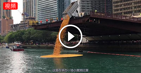 用鏟車裝滿60000隻鴨子,從橋上倒入河裡,下一秒太壯觀了.png 用鏟車裝滿60000隻鴨子,從橋上倒入河裡,下一秒太壯觀了.png