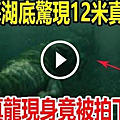 青海湖底發現12米真龍，真龍現身竟被拍下，專家調查結果.png