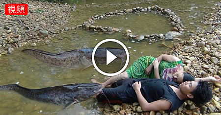 小夫妻設下捉魚陷阱!最後牛逼了.png 小夫妻設下捉魚陷阱!最後牛逼了.png