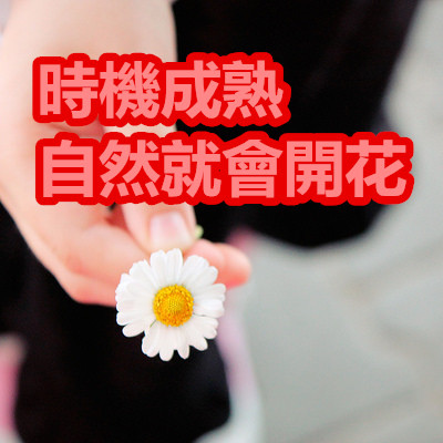 時機成熟自然就會開花.jpg 時機成熟自然就會開花.jpg