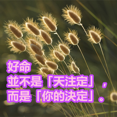 好命並不是「天注定」,而是「你的決定」.png 好命並不是「天注定」,而是「你的決定」.png