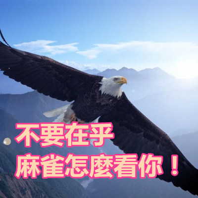 不要在乎麻雀怎麼看你!.jpg 不要在乎麻雀怎麼看你!.jpg