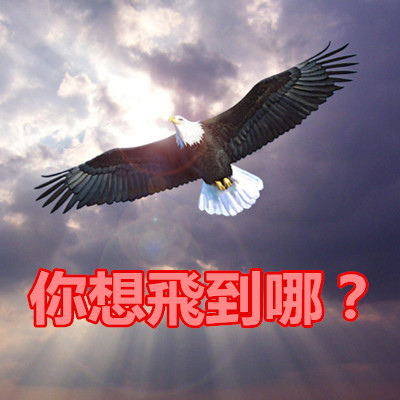 你想飛到哪?.jpg 你想飛到哪?.jpg