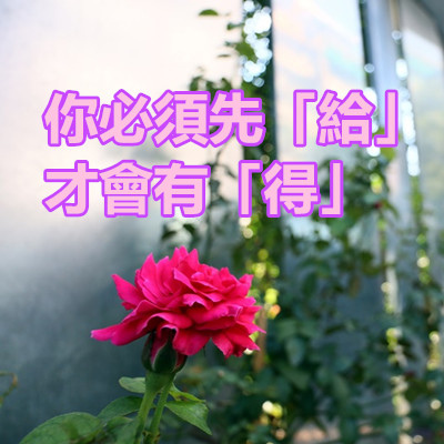 你必須先「給」,才會有「得」.jpg 你必須先「給」,才會有「得」.jpg