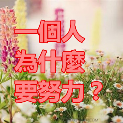 一個人為什麼要努力?.jpg 一個人為什麼要努力?.jpg