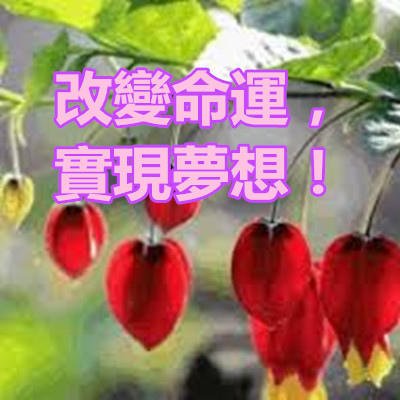 改變命運,實現夢想!.jpg 改變命運,實現夢想!.jpg