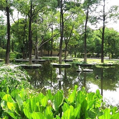 大東濕地公園.JPG