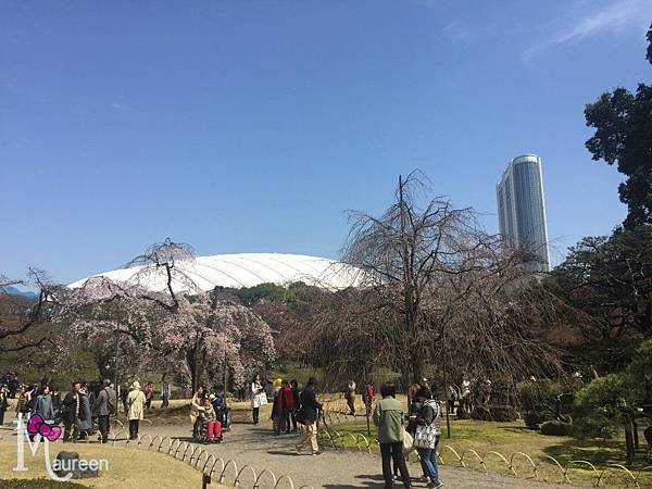 小石川後樂園10.JPG