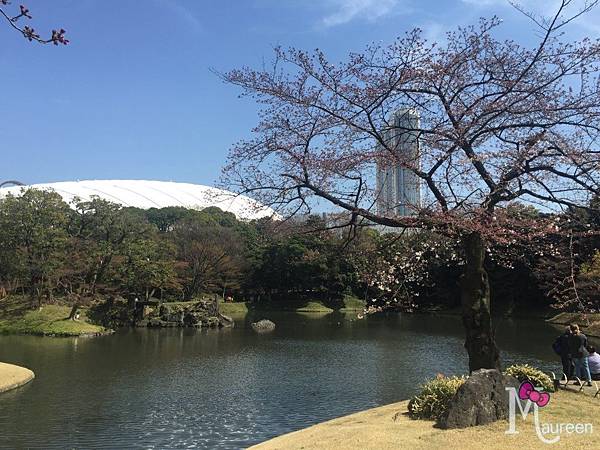 小石川後樂園11.JPG