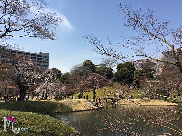 小石川後樂園30.JPG